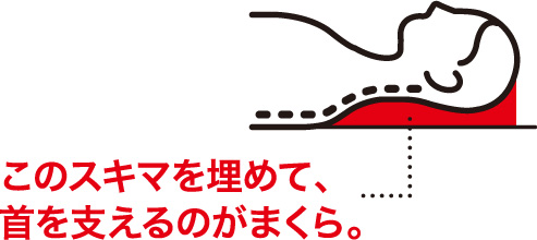 このスキマを埋めて、首を支えるのがまくら。