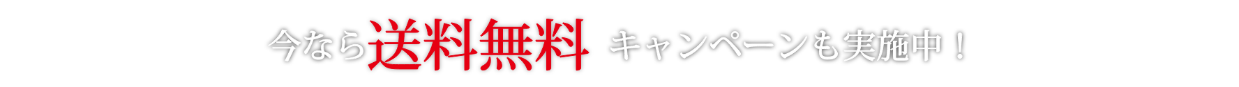 今なら送料無料キャンペーンも実施中！