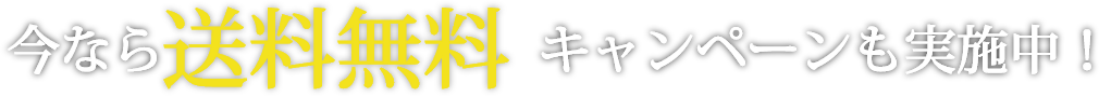 今なら送料無料キャンペーンも実施中！